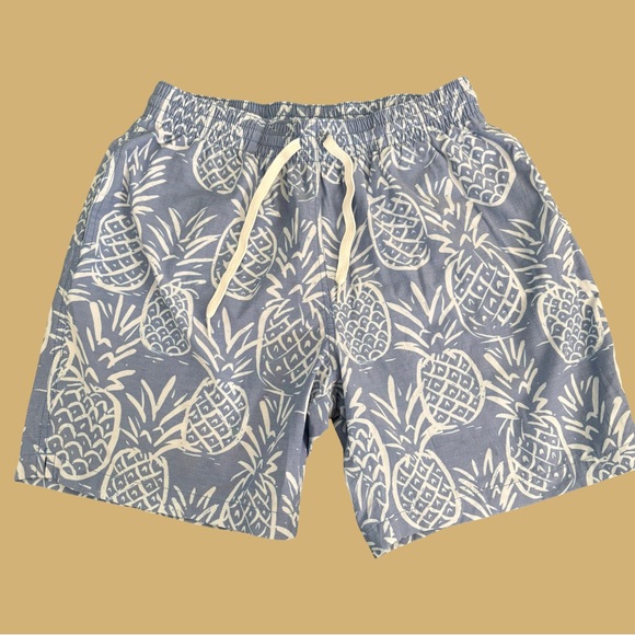 chubbies Other - Chubbies Swim Trunks Blue White Pineapple Mesh Liner